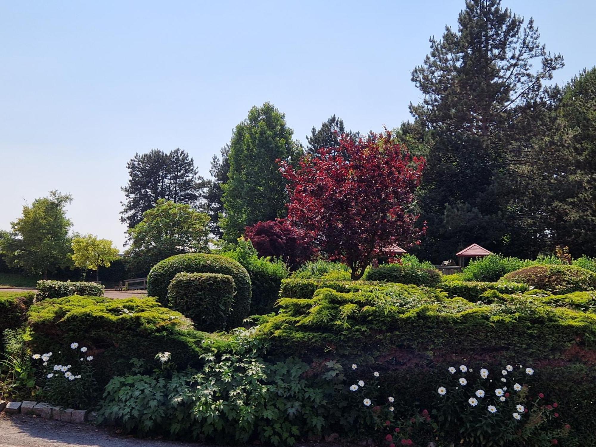 Hotel Bal Tournehem Zewnętrze zdjęcie